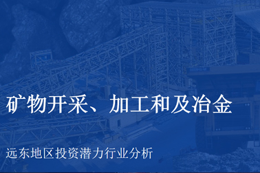 礦物開(kāi)采、加工和及冶金 — 遠(yuǎn)東地區(qū)投資潛力行業(yè)分析